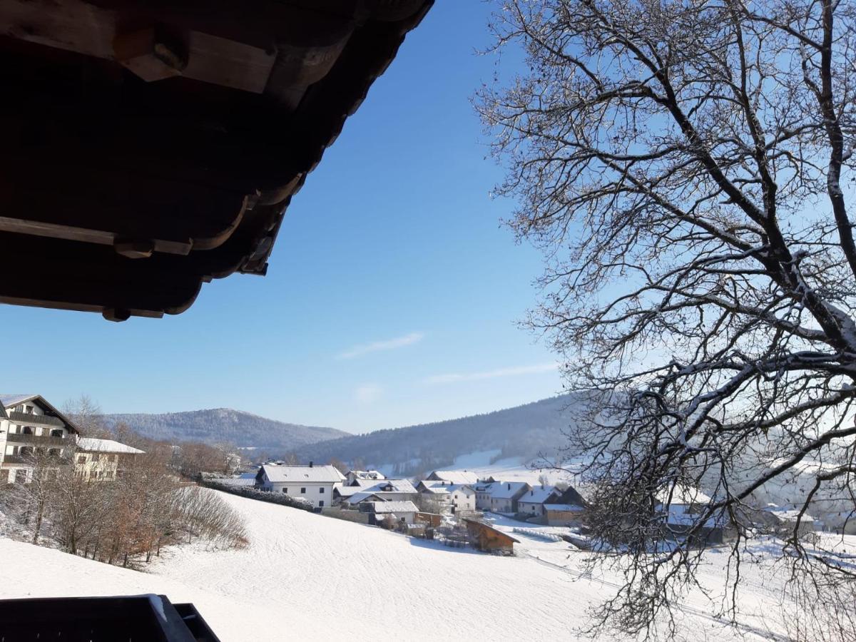 Ferienwohnung Freudensee Im Bayerischen Wald - Pool, Sauna Hauzenberg Ngoại thất bức ảnh